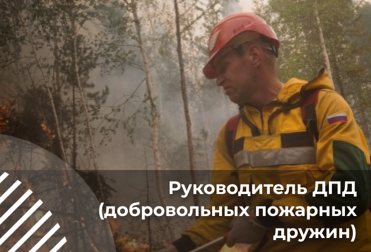 Руководитель ДПД (добровольных пожарных дружин)