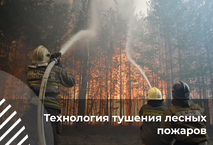 Руководитель тушения крупных лесных пожаров