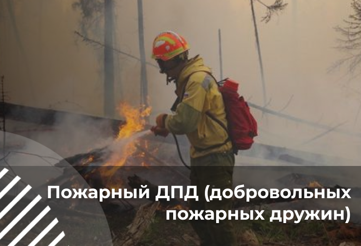 Пожарный ДПД (добровольных пожарных дружин)